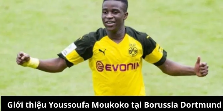 Thông tin tổng quan về Youssoufa Moukoko