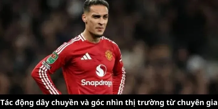 Đánh giá tác động của hành vi đến thị thị trường